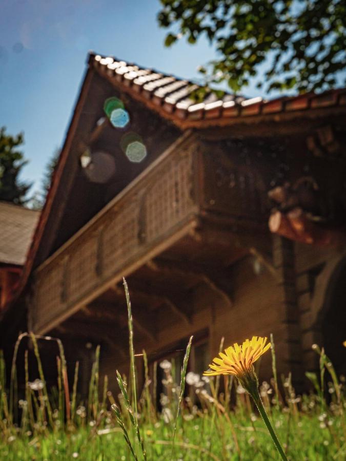 Tworzowka - Ekskluzywne Domy W Gorach Zabnica Exterior foto